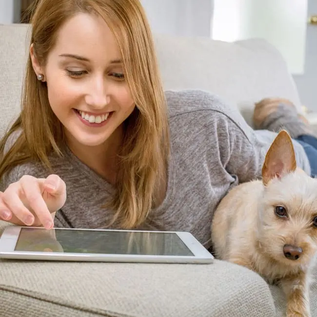 foerderung-fenster-augsburg-beratung-online Informationssuche zur Fensterförderung am Laptop